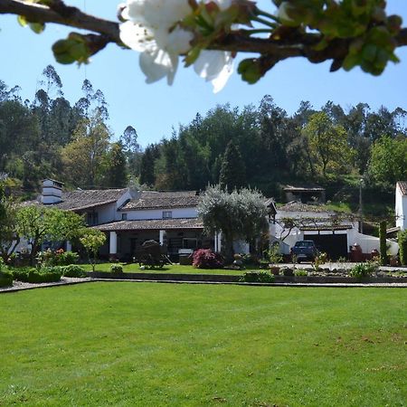 Quintal De Alem Do Ribeiro-Turismo Rural Lousã Εξωτερικό φωτογραφία