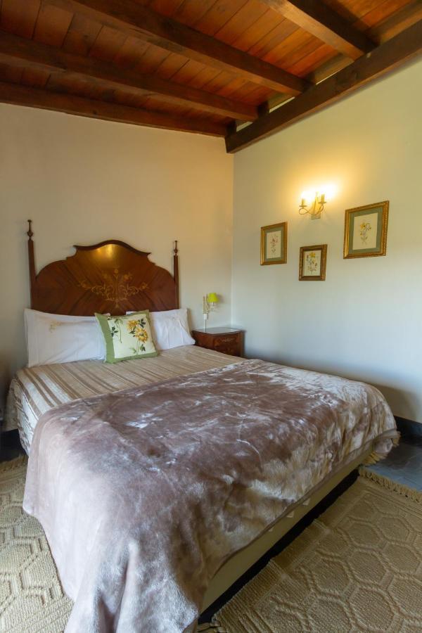 Quintal De Alem Do Ribeiro-Turismo Rural Lousã Εξωτερικό φωτογραφία
