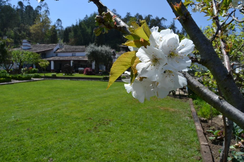 Quintal De Alem Do Ribeiro-Turismo Rural Lousã Εξωτερικό φωτογραφία