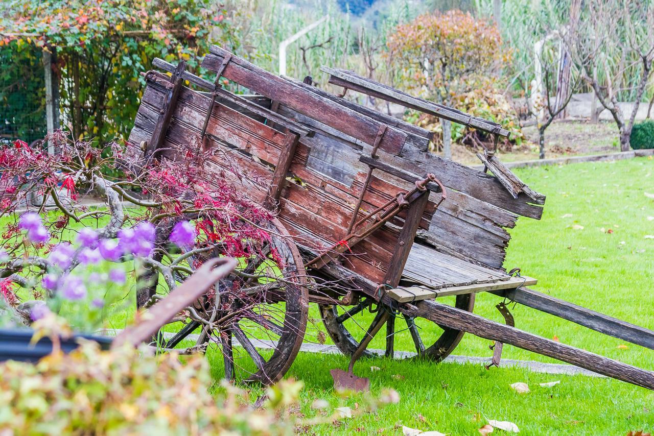 Quintal De Alem Do Ribeiro-Turismo Rural Lousã Εξωτερικό φωτογραφία