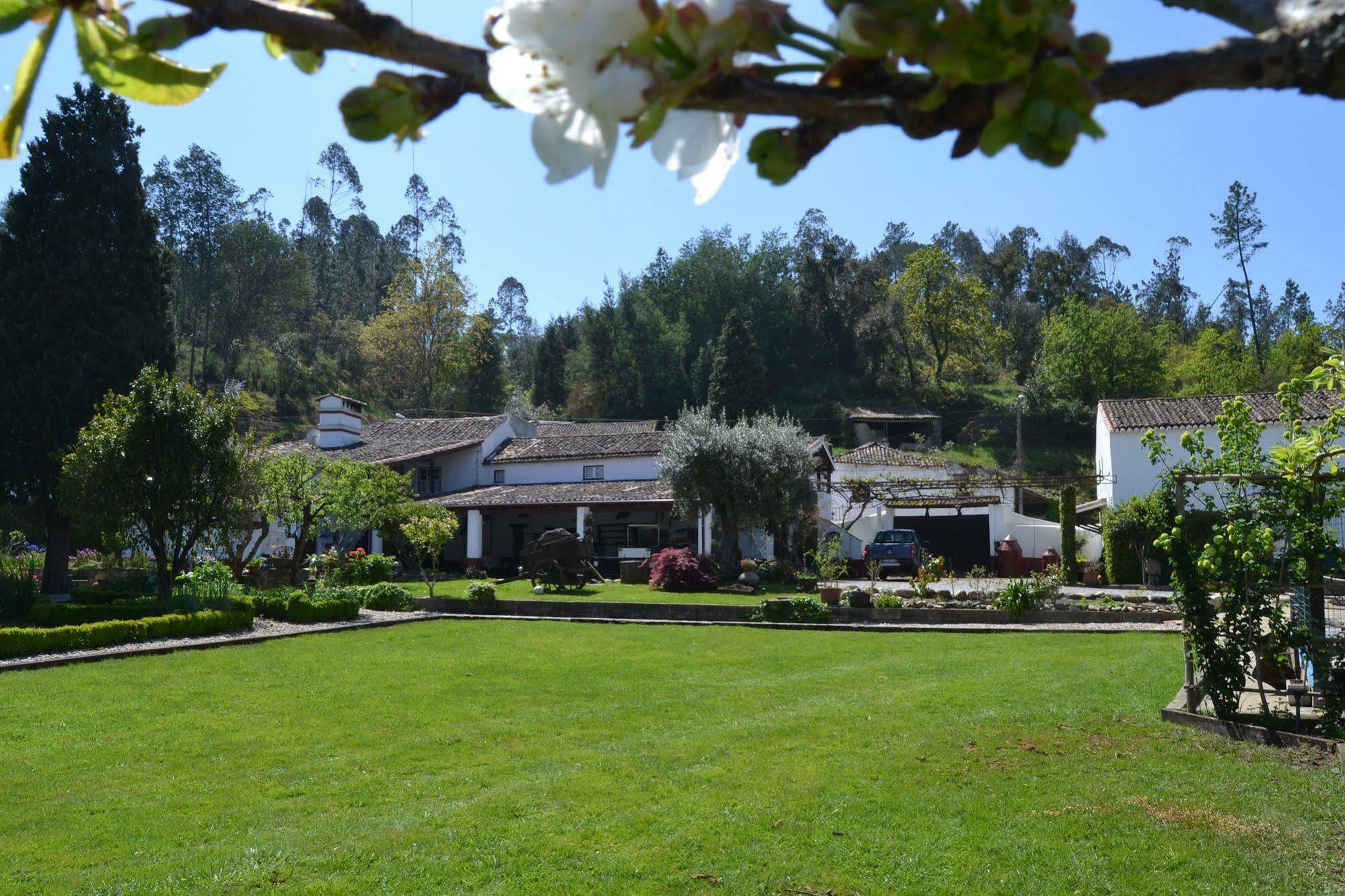 Quintal De Alem Do Ribeiro-Turismo Rural Lousã Εξωτερικό φωτογραφία