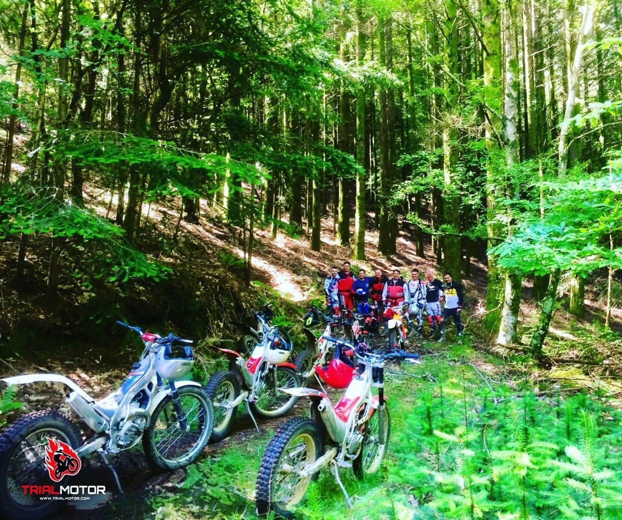 Quintal De Alem Do Ribeiro-Turismo Rural Lousã Εξωτερικό φωτογραφία